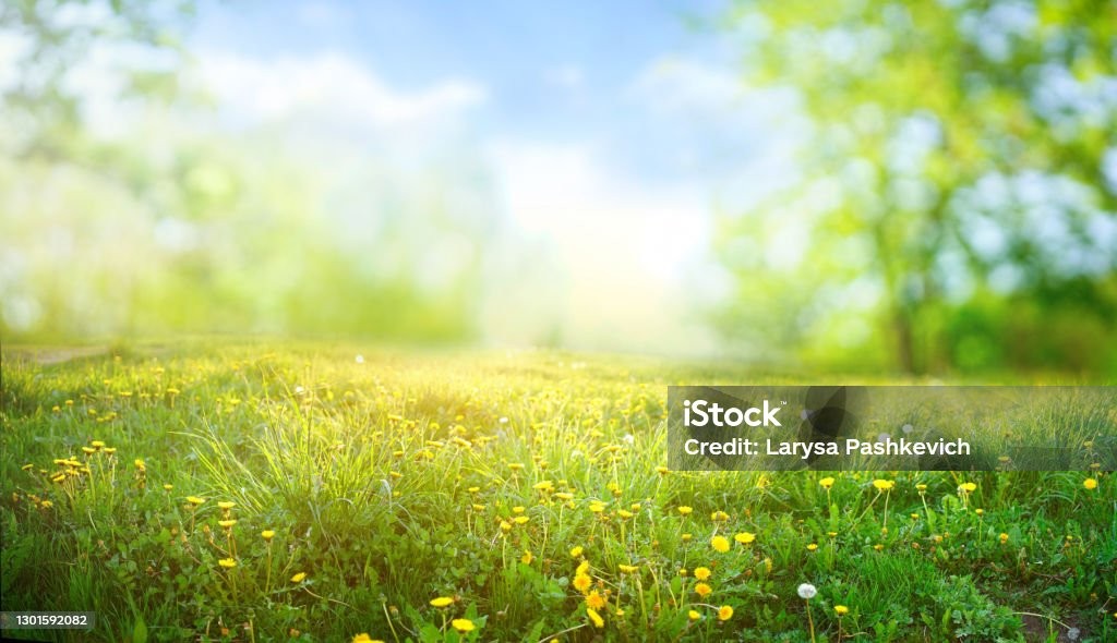 istockphoto-1301592082-1024x1024